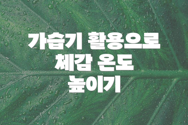 가습기 활용으로 체감 온도 높이기