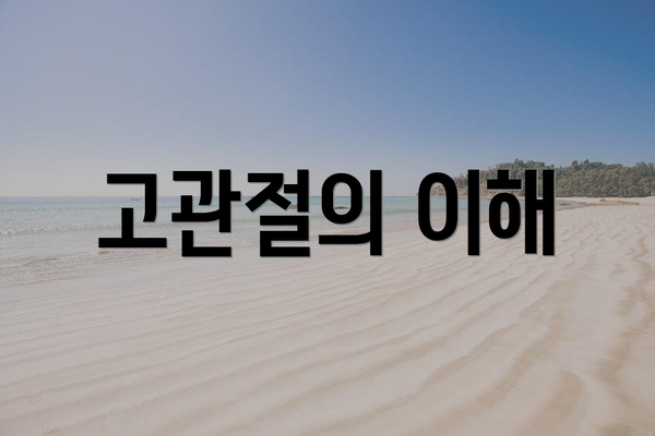 고관절의 이해