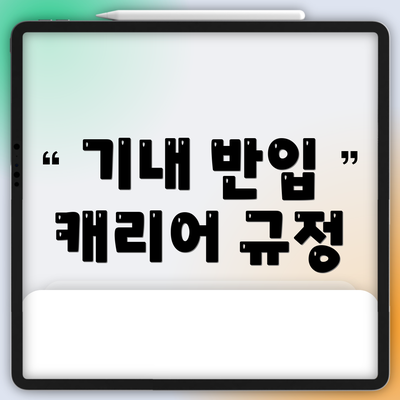 기내 반입 캐리어 규정