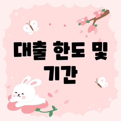 대출 한도 및 기간