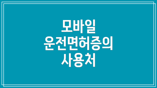 모바일 운전면허증의 사용처