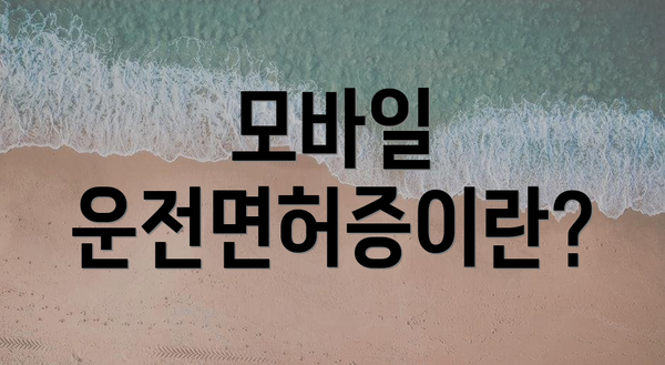 모바일 운전면허증이란?