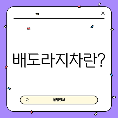 배도라지차란?