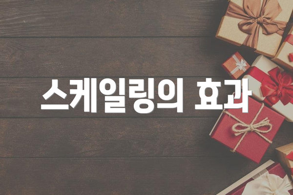 스케일링의 효과