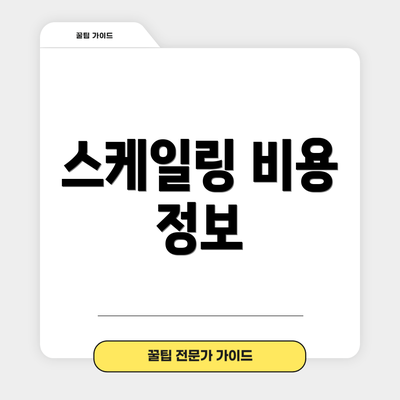 스케일링 비용 정보