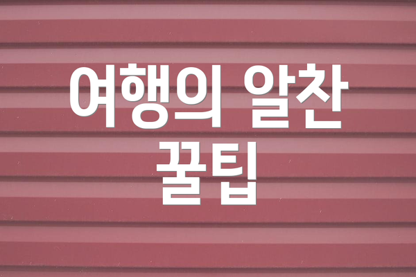 여행의 알찬 꿀팁