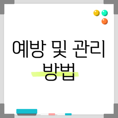 예방 및 관리 방법