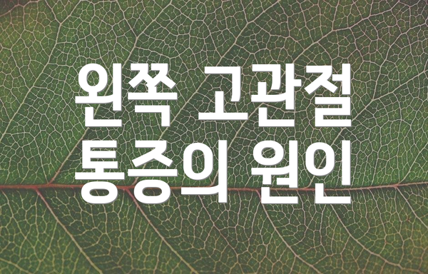 왼쪽 고관절 통증의 원인