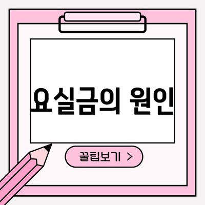 요실금의 원인