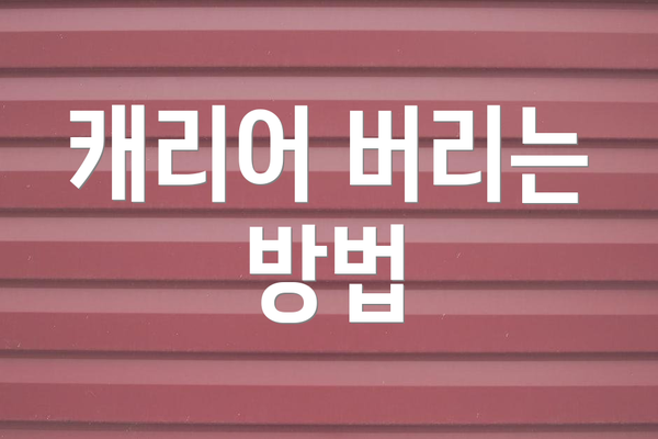 캐리어 버리는 방법
