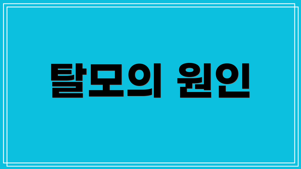 탈모의 원인