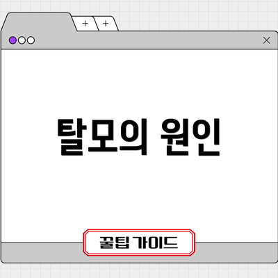 탈모의 원인