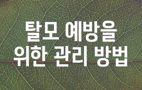 탈모 예방을 위한 관리 방법