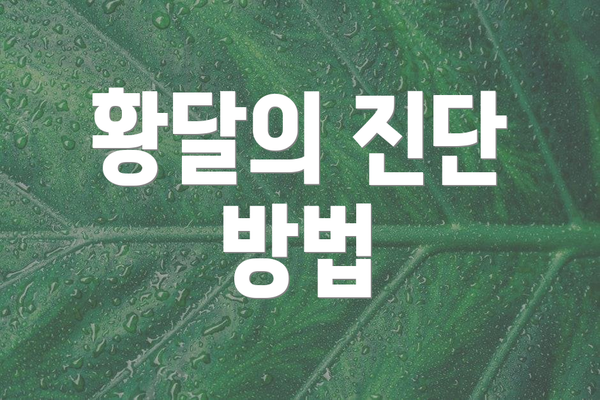 황달의 진단 방법