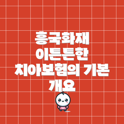 흥국화재 이튼튼한 치아보험의 기본 개요