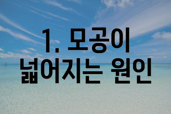 1. 모공이 넓어지는 원인
