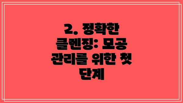 2. 정확한 클렌징: 모공 관리를 위한 첫 단계