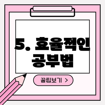 5. 효율적인 공부법
