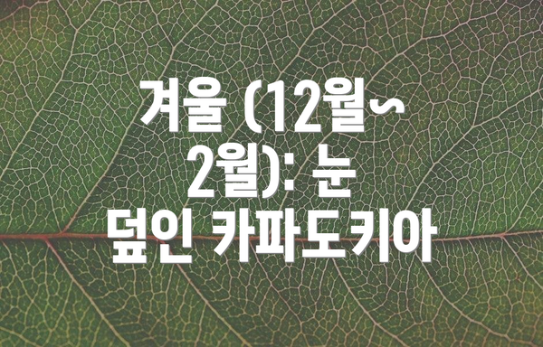 겨울 (12월~2월): 눈 덮인 카파도키아