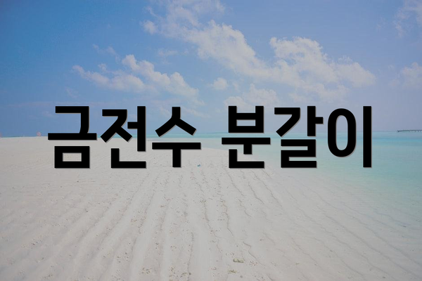 금전수 분갈이