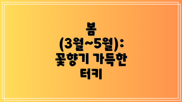봄 (3월~5월): 꽃향기 가득한 터키