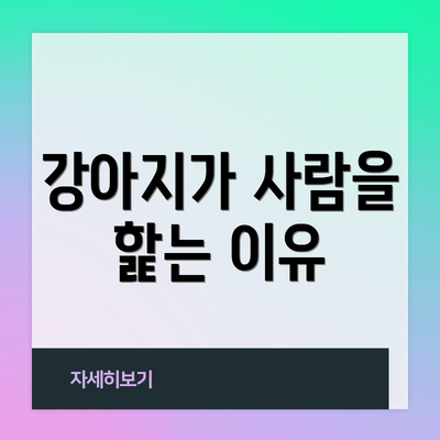 강아지가 사람을 핥는 이유