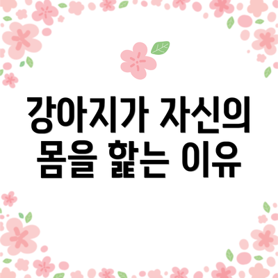 강아지가 자신의 몸을 핥는 이유