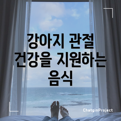 강아지 관절 건강을 지원하는 음식