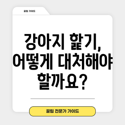 강아지 핥기, 어떻게 대처해야 할까요?