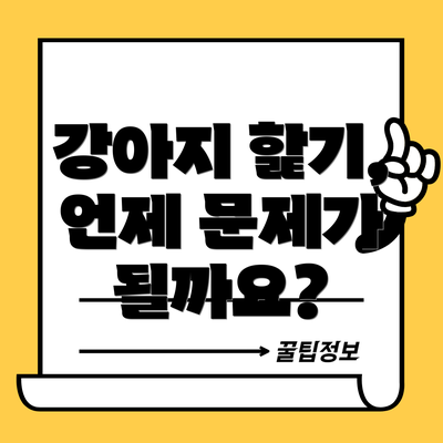 강아지 핥기, 언제 문제가 될까요?