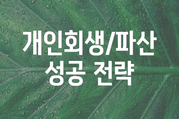 개인회생/파산 성공 전략