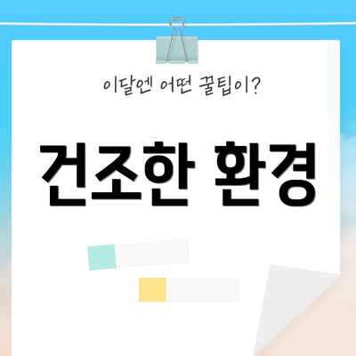 건조한 환경