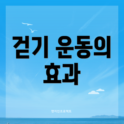 걷기 운동의 효과