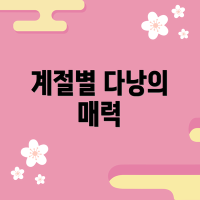 계절별 다낭의 매력
