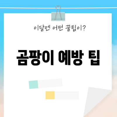 곰팡이 예방 팁