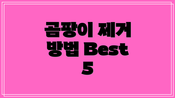 곰팡이 제거 방법 Best 5