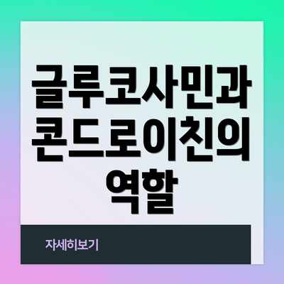 글루코사민과 콘드로이친의 역할