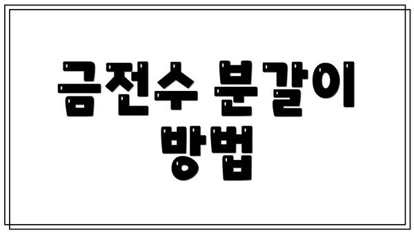 금전수 분갈이 방법