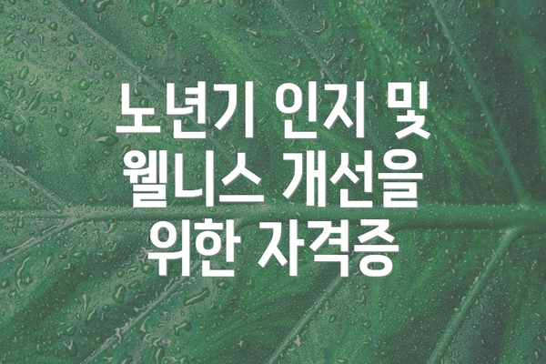 노년기 인지 및 웰니스 개선을 위한 자격증