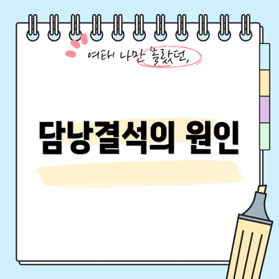 담낭결석의 원인