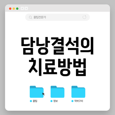 담낭결석의 치료방법