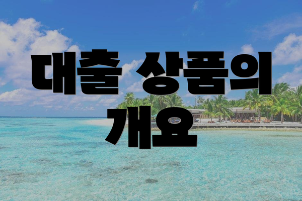 대출 상품의 개요