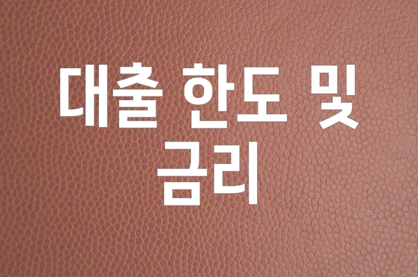 대출 한도 및 금리