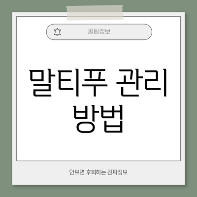 말티푸 관리 방법