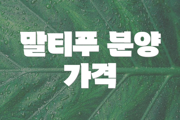 말티푸 분양 가격