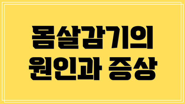 몸살감기의 원인과 증상