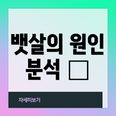 뱃살의 원인 분석 🤔