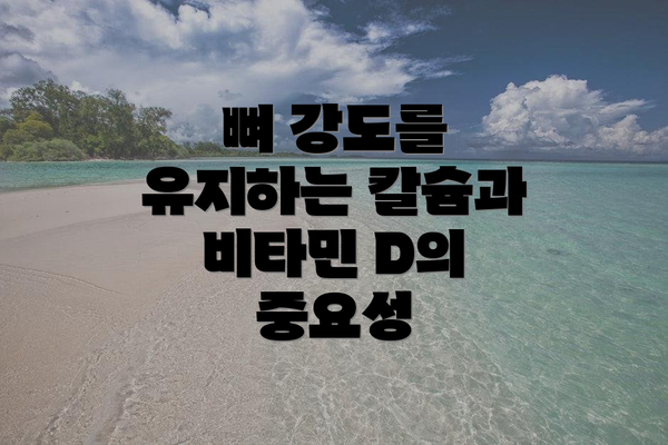 뼈 강도를 유지하는 칼슘과 비타민 D의 중요성