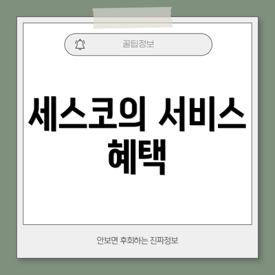 세스코의 서비스 혜택