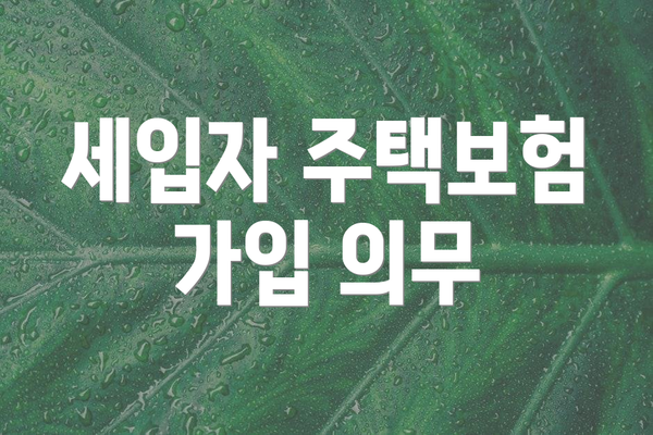 세입자 주택보험 가입 의무